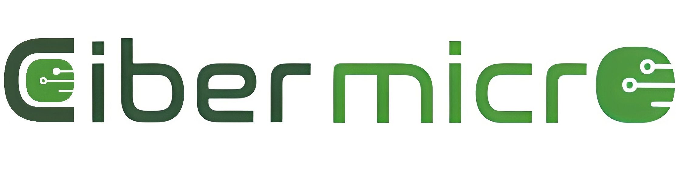 CiberMicro
